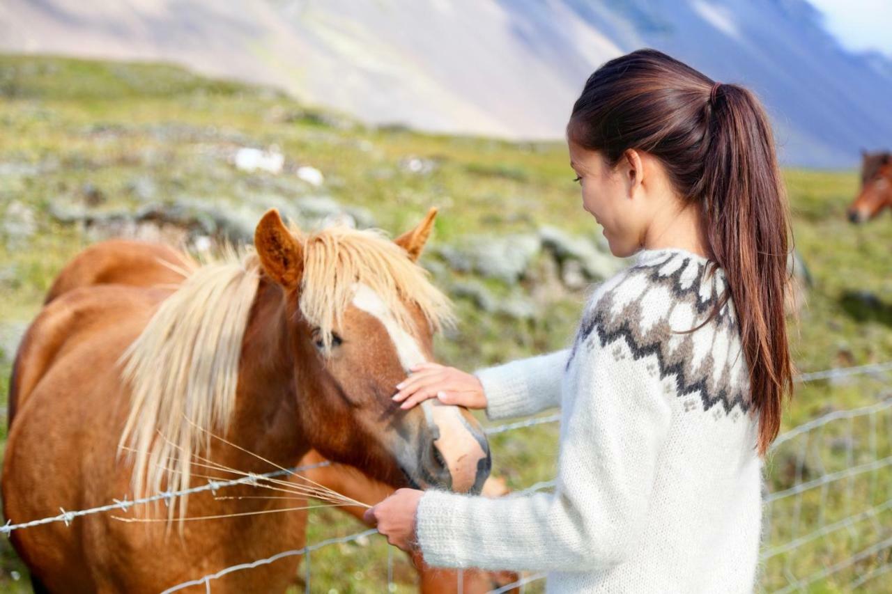 Experience Beautiful Iceland Ólafsvík 외부 사진